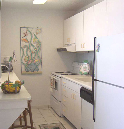 Fully equipped, oceanfront kitchens